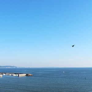 2014/10/29の海