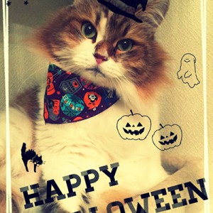 Halloween2014