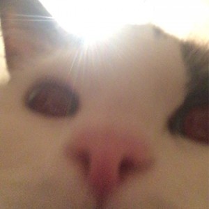 みーちゃん自撮り