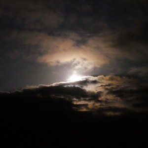 夜月