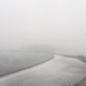 2016/11/24の朝