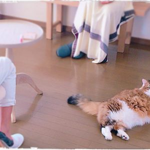 セミナー中のアイちゃん