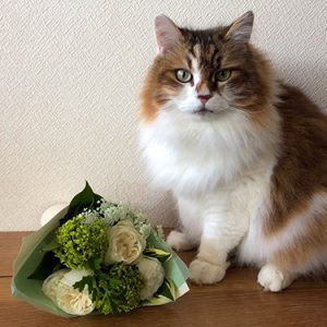 アイちゃん