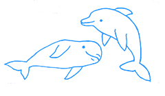 イルカのイメージイラスト