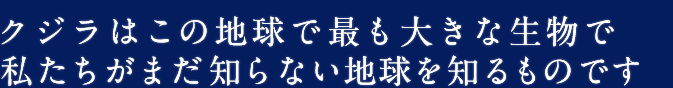 クジラはこの地球で最も大きな生物で、私たちがまだ知らない地球を知るものです